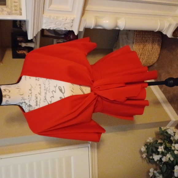 Shein Large Red Top - Picture 2 of 5